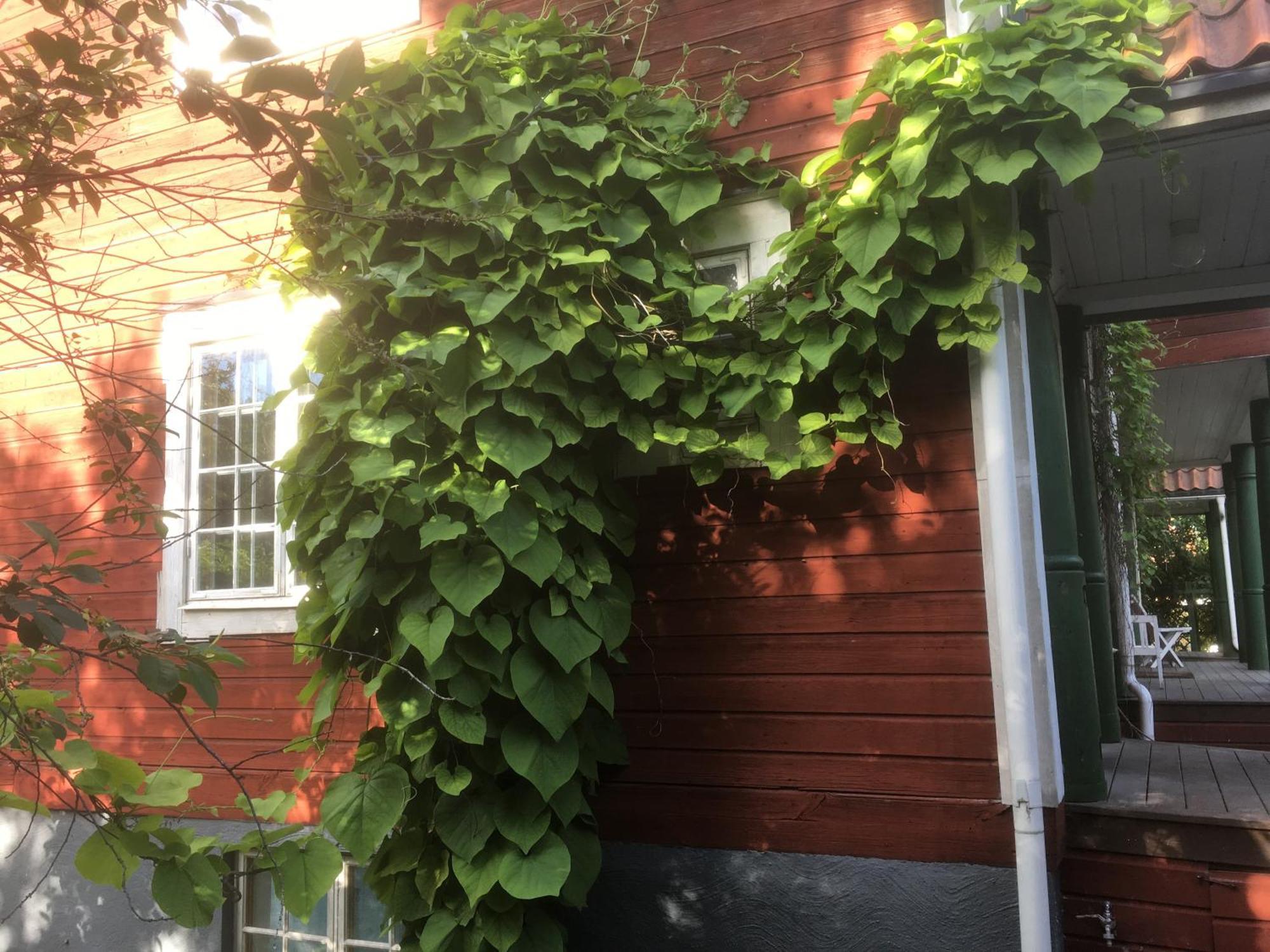 Stockholm B&B Cottage Нака Стая снимка
