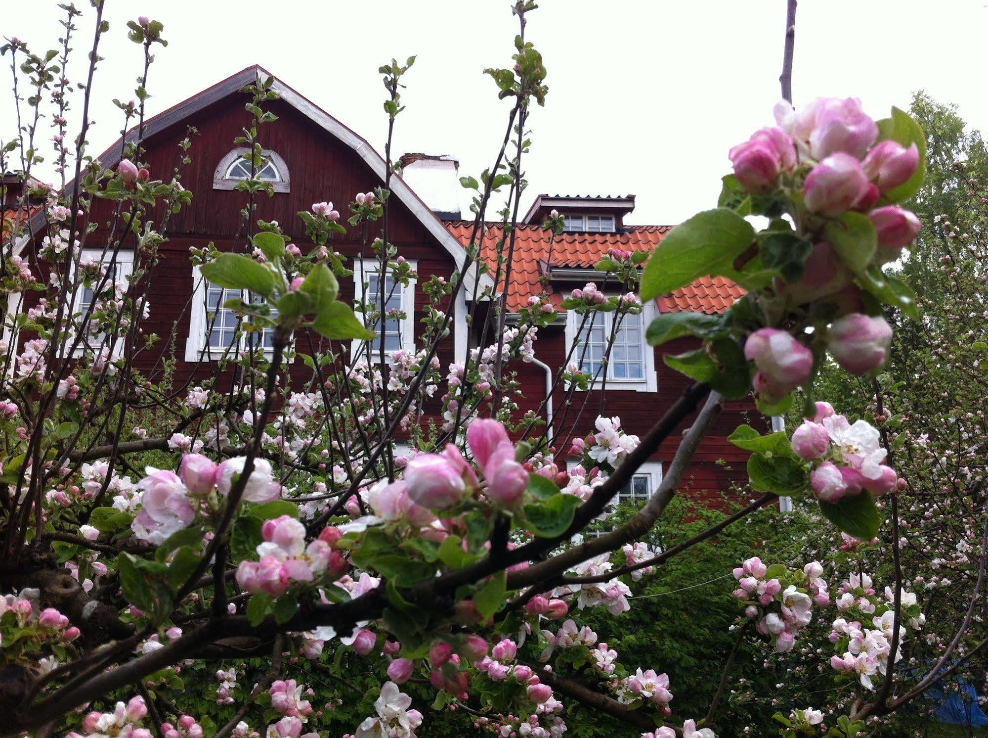 Stockholm B&B Cottage Нака Екстериор снимка